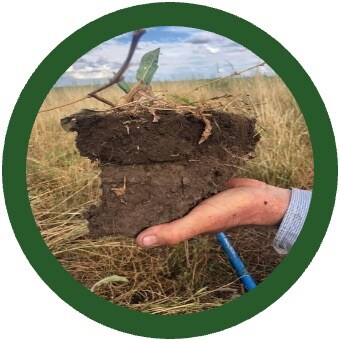 Soil Carbon
